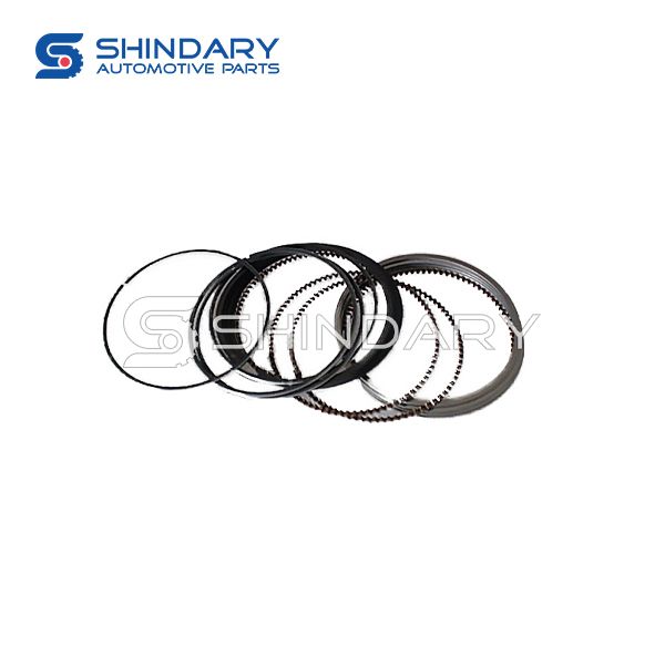 Piston ring kit 484J-1004030BA for CHERY X33