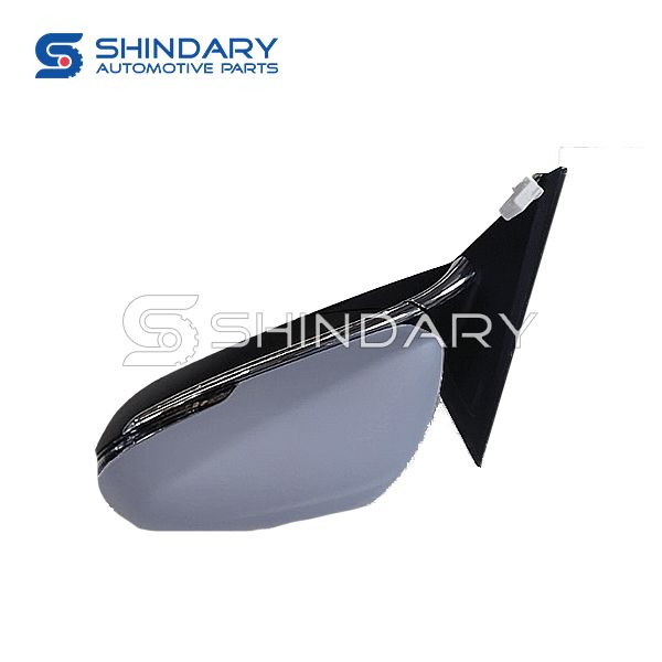 Rearview mirror B016864 for DFM