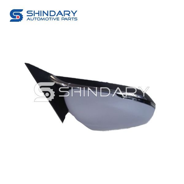 Rearview mirror B016865 for DFM