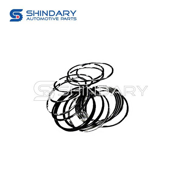 Piston ring kit C3919918 for JAC