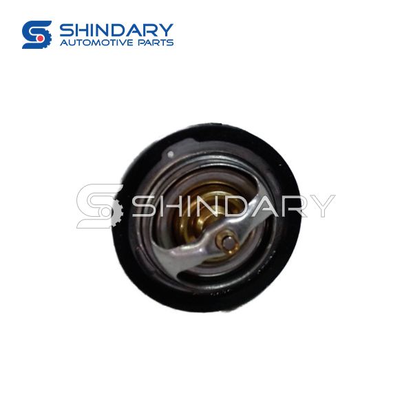 Thermostat assembly DAED100116 for CHANGAN STAR 9