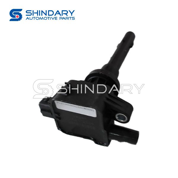 IGNITION COIL ASSY L0100080026A0 for FOTON MINI TRUCK