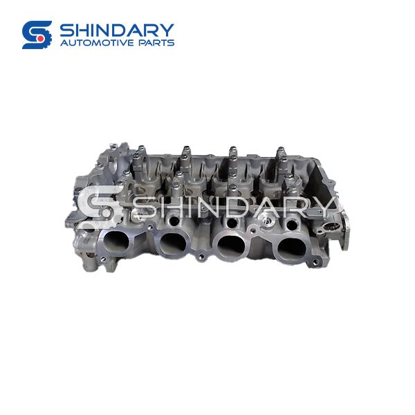 Cylinder Assy 1003020-04 for ZOTYE