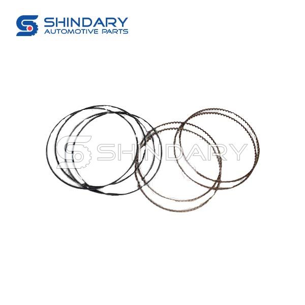 Piston ring 1004030GK030 for JAC S3