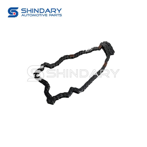 Timing chain 1021120FD020 for JAC T8