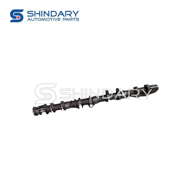 Camshaft assy exhaust  25T5.0007+A006 for ZNA RICH 6