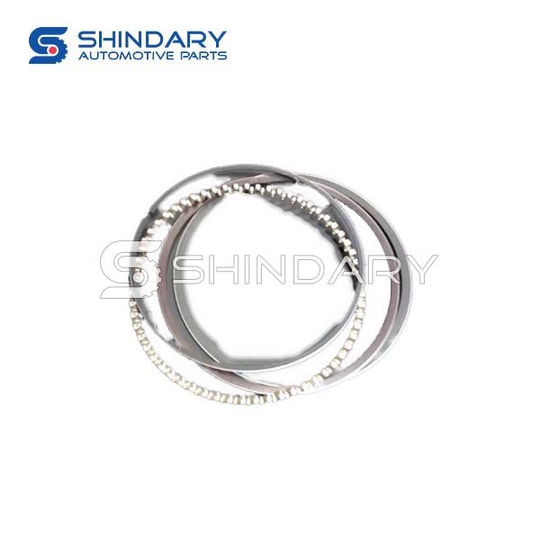 Piston ring E049103000002-5 for FOTON