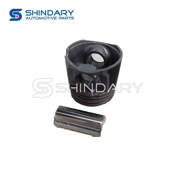 Piston 1004060RAA-PC for ZX AUTO