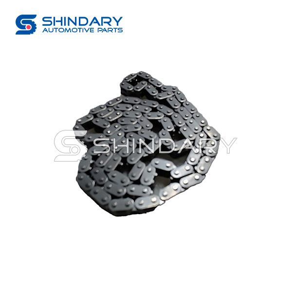 Timing chian 1021021001-B11 for ZOTYE