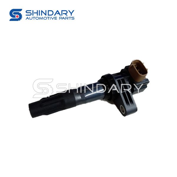 Ignition coil 10665006-00 for BYD