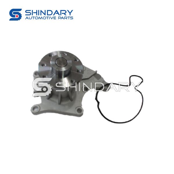 Water pump 1307100-E09 for GREAT WALL WINGLE