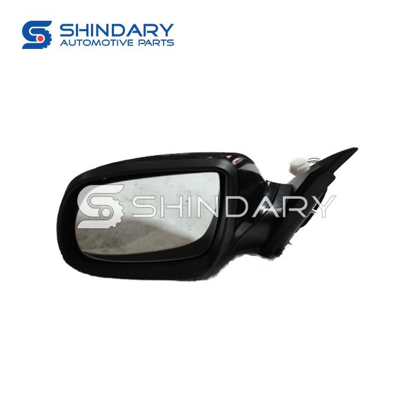 Mirror 8202010002-B11-S1 for ZOTYE