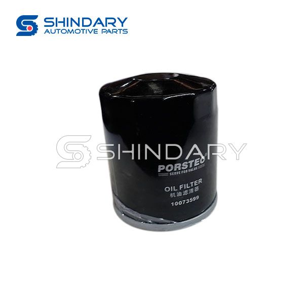 Oil filter 10073599MZS for MG ZS