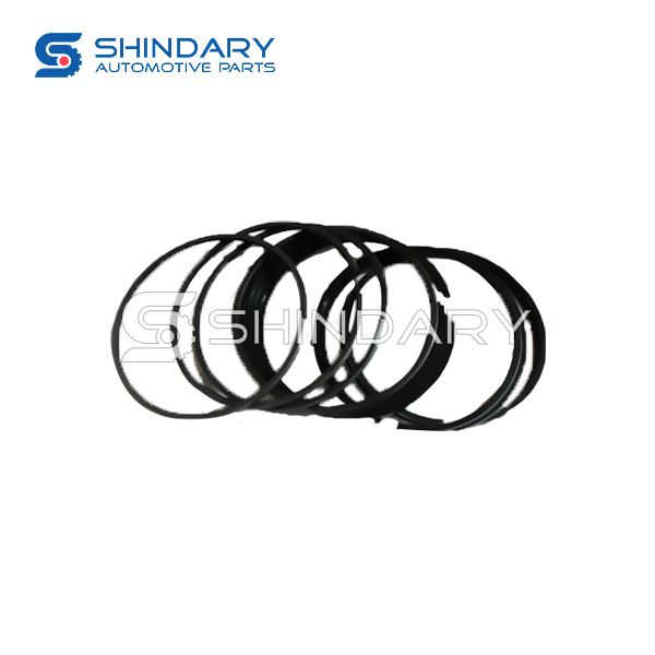 Piston ring 1004010-ED01 for GREAT WALL DIESEL