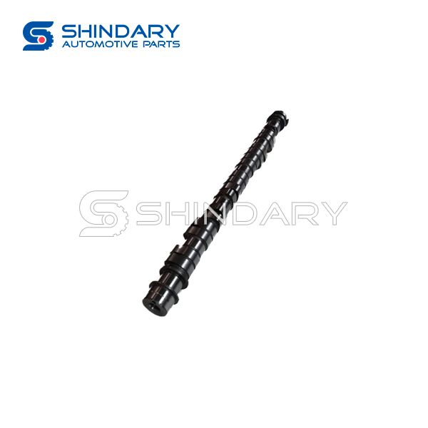 Camshaft 1006100B0000 for DFSK