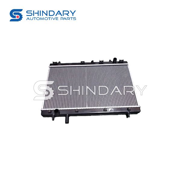 Radiator 1301100-BL02-AA for SHINERAY X30L
