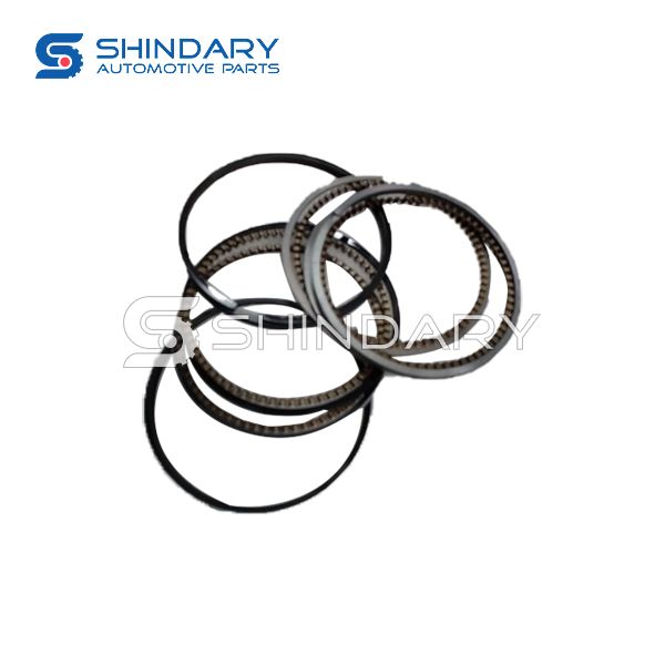 Piston ring 472-BJ1004030-0.25 for CHERY Q22