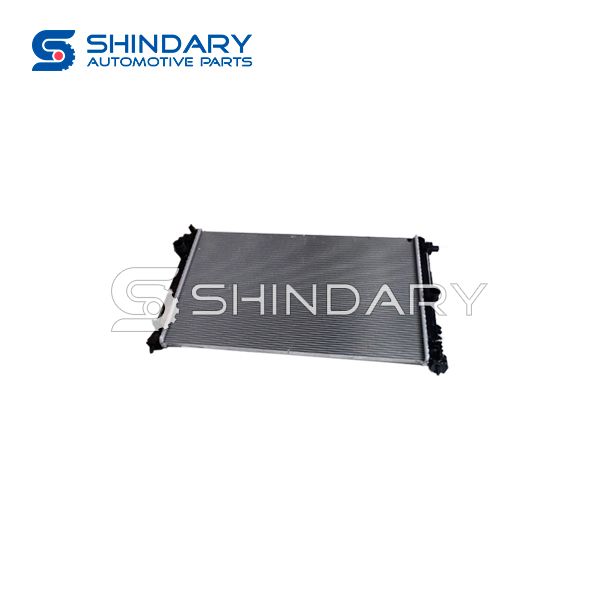 Radiator B016689 for DFM