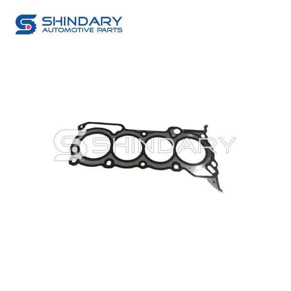 Cylinder gasket 1003015-04 for ZOTYE