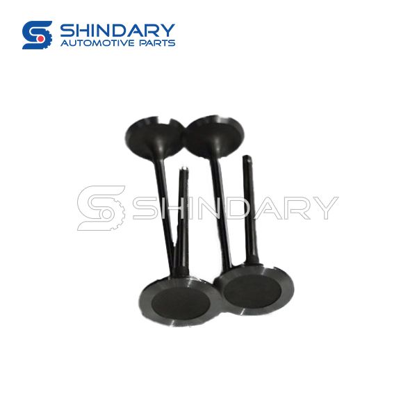 Intake Valve 1007016-E00 for GREAT WALL
