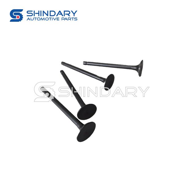 Exhaust Valve 462-1007010 for HAFEI