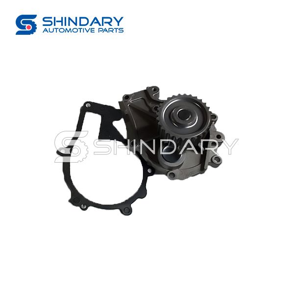 Water Pump 484F-1307010BA for CHERY