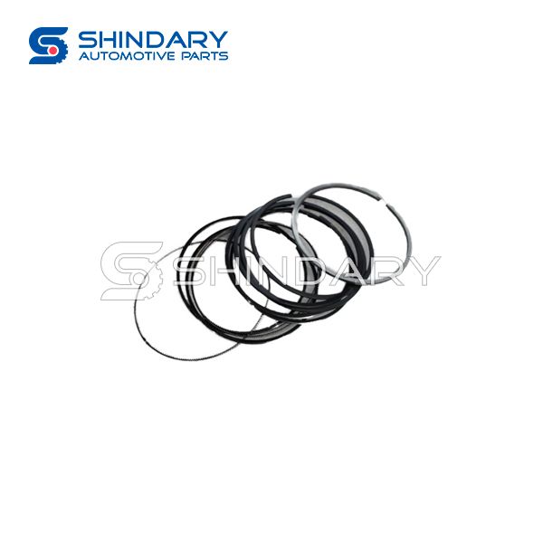 Piston ring BM15LC-3005660 for JINBEI KONECT