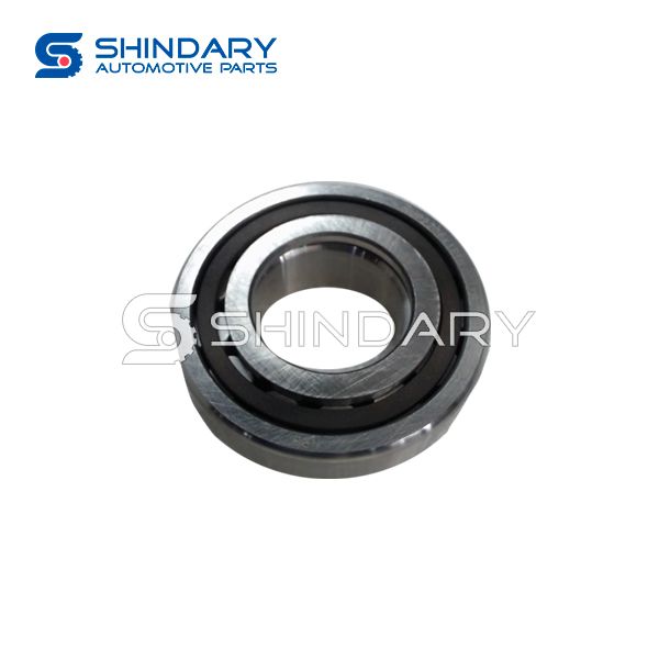 Bearing C00095345 for MAXUS