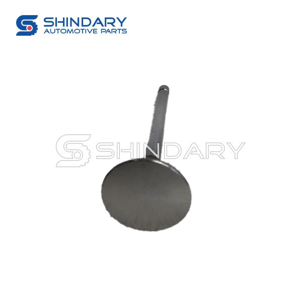 Exhaust Valve CN3-6505-AE for JMC CONQUER