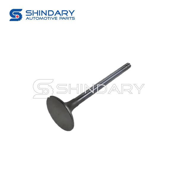 Intake Valve CN3-6507-AG for JMC CONQUER