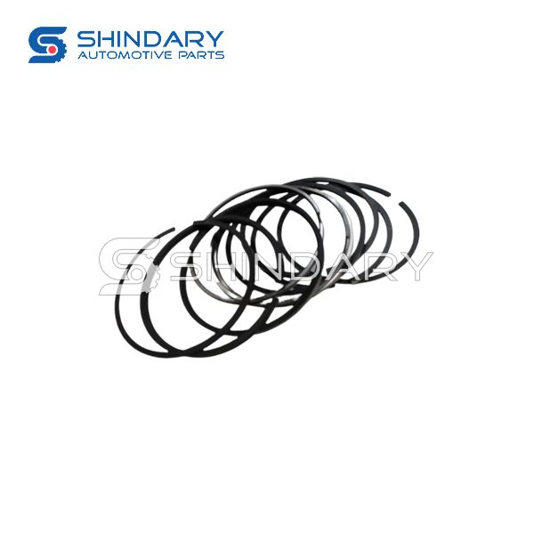 Piston ring 1004024FA-BJ for JAC