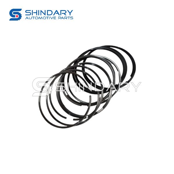 Piston ring 1004030FB040ZJ for JAC