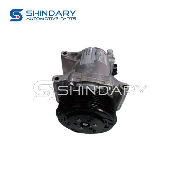Compressor assy G81030100100 for ZX AUTO