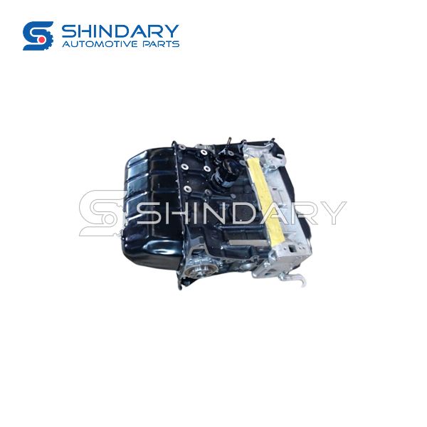 Engine LF479Q5-1000000A for LIFAN