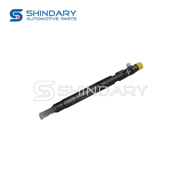 Fuel injector Assy 1100100XED95 for GREAT WALL POER