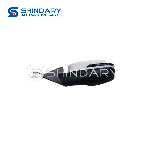 Left external rearview mirror assy 601000053AA-DQ for CHERY