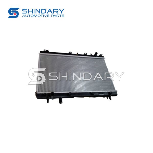 Radiator Assy 1301180-BL01 for SHINERAY X30L
