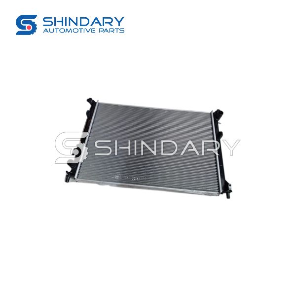 Radiator Assy HDE-1301030B for BYD DOLPHIN
