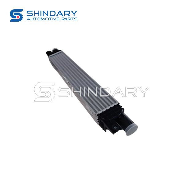 Intercooler assembly A00095827 for BAIC