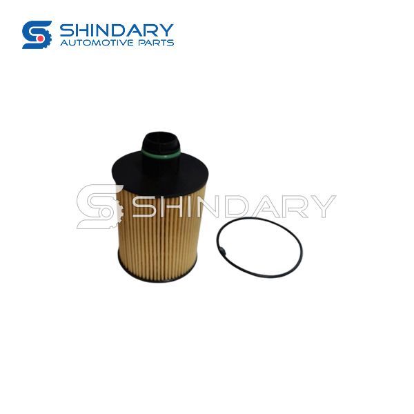 Oil filter element assy D-1013100-02-00 for DFSK GLORY 330