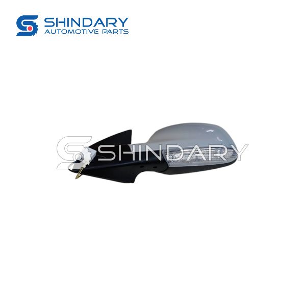 External rearview mirror R510010J-B0110-TA for DFM