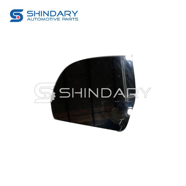 Lens assy - left) SX5-8202011-02 for DONGFENG SX5