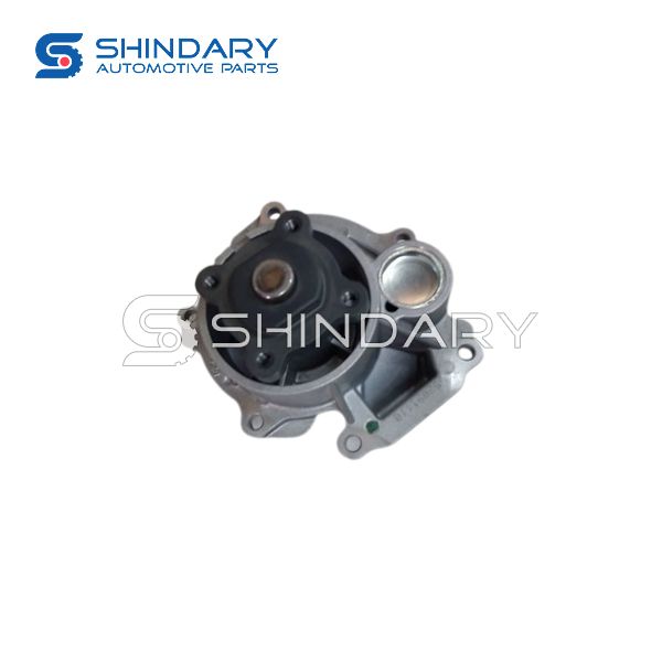 Water pump 55582273 for CHEVROLET
