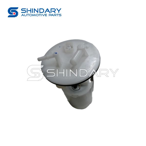 FUEL PUMP ASSY 25E01R002A for S.E.M DX3