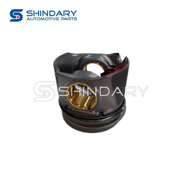 Piston C00216475 for MAXUS