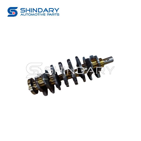 Crank shaft D111541 for DFM