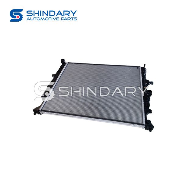 Radiator SX5G-1301040A for DFM