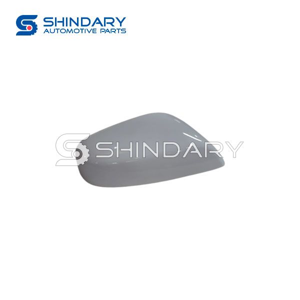 Right exterior rear-view mirror shell trim cover T11-8202012PA-DQ for CHERY
