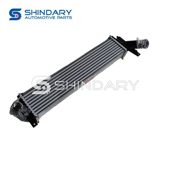 Intercooler Assy 1119100-SF01 for DFSK GLORY 500