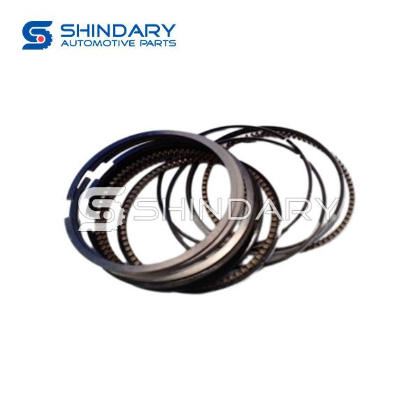 Piston Ring Kit 1402000 for DFM H30